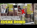 DAPET PESENAN❗BIKIN KANDANG TERNAK CUCAK ROWO #cucakrowo #cucakrawa