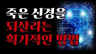 신경이 젊어지면 모든 병이 거짓말처럼 사라진다 I 간단하고 획기적인 신경 청소법 I 신경청소혁명 I 책읽어주는 여자