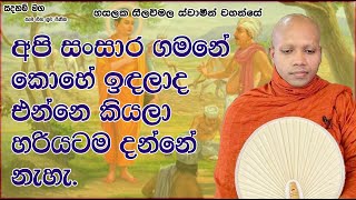 අපි සංසාර ගමනේ කොහේ ඉඳලාද එන්නෙ කියලා හරියටම දන්නේ නැහැ.1398Ven Hasalaka Seelawimala Thero