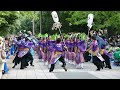 よさこいin光が丘公園2015　早稲田大学　東京花火