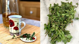 BEVI QUESTO INFUSO - PANCIA RENI E FEGATO TI RINGRAZIERANNO | DRINK THIS INFUSION - FLAMING INFUSION