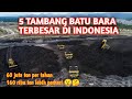 5 TAMBANG BATU BARA TERBESAR DI INDONESIA ‼️ 60 JUTA TON PERTAHUN ⁉️