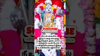 உன் போல் மகிழ்ச்சியானவன் இந்த உலகிலேயே இல்லை 🦚🙏✨ #murugan #murugar #muruga #omsaravanabhava #vel #yt