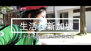 二十位中国美女YouTuber带你领略新加坡风情