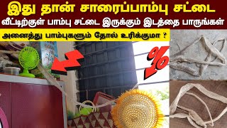 😱வீட்டிற்குள் பீரோ மேல் இருந்த பாம்பு சட்டை | இதுதான் சாரைப்பாம்பு சட்டை | இது எப்படி இங்கே வந்தது🐍