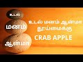 மலர் மருத்துவம் - CRAB APPLE  28th  REMEDY - DR.BACH FLOWER REMEDY (1)அறிமுகம்