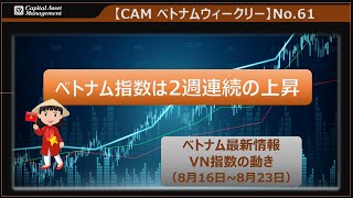 【CAM ベトナム ウィークリー】No.61　VN指数の動き（8月16日～ 8月23日）