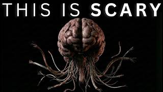 Physics Proves You Don't Exist. And That's Scary.
