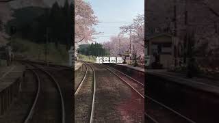 桜の名所　能登鹿島駅