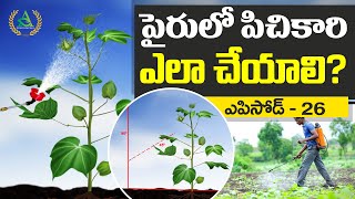 ఎపిసోడ్ 26_పైరులో పిచికారి ఎలా చేయాలి? | How to spray pesticides on plants |Annapurna Agri space