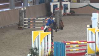 SOLD - Csikoshorses Escudar - Wiener Neustadt - 110 cm Winner