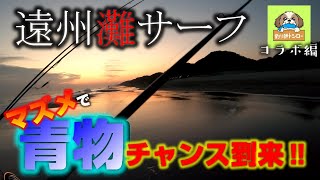 【遠州灘サーフ 青物・フラット】マズメの青物祭りに参加していくぅ～‼