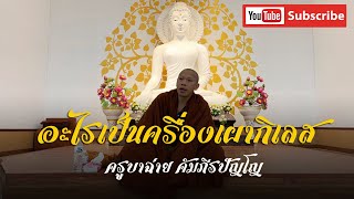 สนทนาธรรมกับครูบาฉ่าย ณ บ้านธรรมทาน พิษณุโลก  9 พ.ย. 65