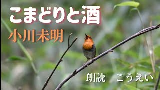 こまどりと酒　作：小川未明　朗読：こうえい