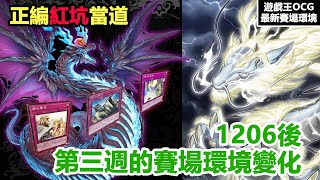 【#遊戯王OCG】正編紅坑當道!! 1206後第三週賽場環境【史萊姆的研究室】