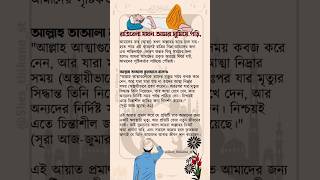 রাত্রিবেলা আমরা যখন ঘুমিয়ে পড়ি। #shorts #rasulullah #quran #hadis #islamicstatus #islamicvideo