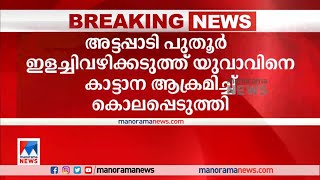 അട്ടപ്പാടിയിൽ യുവാവിനെ കാട്ടാന ചവിട്ടിക്കൊന്നു  | Attappadi |Elephant attack