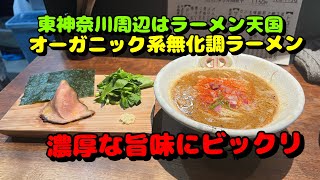 【東神奈川第9弾！周辺のラーメン屋さん】NATURAL TASTE、長崎ちゃんぽん西海、星印、らぁめん夢、大勝軒