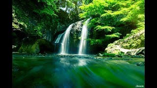 Traveling to Ibaraki, Japan: Playing around Tsukimachi Waterfall