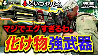 【PS5版CoD:BOCW】エグすぎる化け物な強武器カスタム紹介！これが最高威力のヤバさ。【ハセシン:AK-47】Call of Duty: Black Ops Cold War