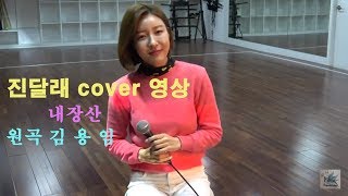 2018.11.1 가수 진달래  - 내장산  COVER 영상 원곡 김용임