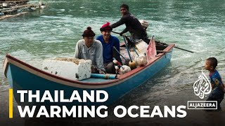 Thailand oceans: Warming seas leading to environmental disaster
