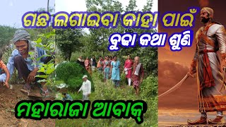 gachha lageiba kahapain/ଗଛ ଲଗାଇବା କାହା ପାଇଁ/plantation is whom for/budha ra katha suni raja abak