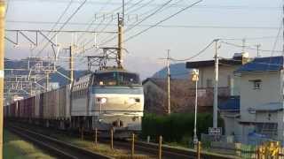 3075レ　EF66-124　沼津-片浜間　東海道本線