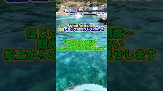 高知県の絶景スポット･柏島で釣りしてみた④完  🎣 #shorts