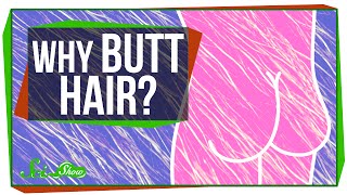 Why Do We Have Butt Hair?