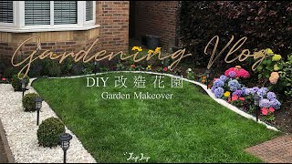 【英國花園Vlog】 我們家的小花園｜DIY £100改造前花園 ｜新手友好小技巧｜繡球花爆生｜Gardening Vlog | #移民英國 #英國vlog #英國生活