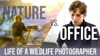 A Week in the Life of a Wildlife Photographer