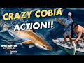 Cobia and Shark Fishing in the Florida Keys is INSANE | Saltwater Experience