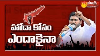 'ప్రత్యేక హోదా కోసం ఎందాకైనా' చర్చా కార్యక్రమం || కర్నూలు - Watch Exclusive