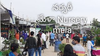 Nursery mela in Hyderabad.హైదరాబాద్ లో నర్సరీ మేళా.