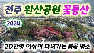 전주 완산공원 꽃동산 2024 - 겹벚꽃과 철쭉 등의 봄꽃을 볼 수 있는 곳으로 매년 20만명 이상이 다녀가는 봄꽃 명소 (전주 완산칠봉 꽃동산, 전주완산꽃동산, 전주여행코스)