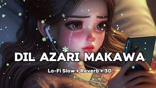 Dil Azari Makawa | Slow+Reverb | by Nazia Iqbal and Rahim Shah