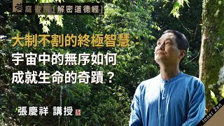 大制不割的終極智慧：宇宙中的無序如何成就生命的奇蹟？｜故大制不割｜道德經二十八章｜張慶祥 講解