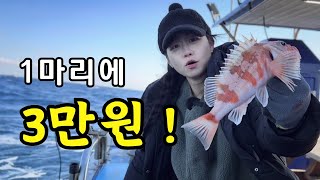 I went fishing to earn money! (feat. Precious fish that you can't buy even if you want to.)