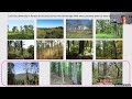 Ecological Silviculture for Southern Appalachian Hardwood Forests - April 30, 2024