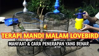 Sudah Pernah Mencoba ??