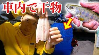 【日本釣り旅#4】釣りたての生魚を密室の車内に干してみると・・・