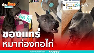 เก่งเกิน หมาท่องกอไก่ ร้องเพลงชาติ ได้แบบน่ารัก | เรื่องร้อนอมรินทร์