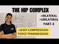 Bilateral and Unilateral Stance | Force Calculation and Joint Compression