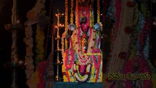 ఓం నమః శివాయ హర హర మహాదేవ శంభో శంకర #trending #devotional #ఓంనమశ్శివాయ