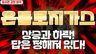 온톨로지가스 : 상승과 하락! 답은 정해져 있다!