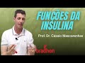 Funções da Insulina