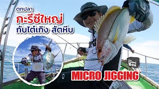 Micro Jigging ตกปลาทะเลด้วยอุปกรณ์ไมโครจิ๊ก เรือไต๋เกิง สัตหีบ