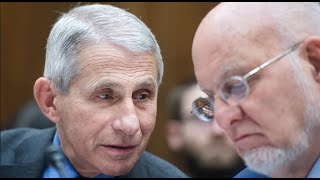 Dr. Fauci and Robert  Redfield to testify on reopening plans as COVID-19 cases rise
