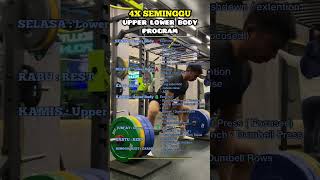 Program Latihan Gym Pemula 4x Seminggu